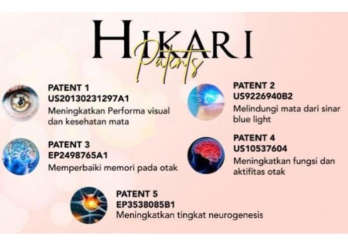 Paten Fungsi Hikari